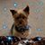 Sandy Kinney Bauer's profile image