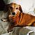 Jane Peters's profile image