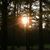 Bonnie Wyatt Wright's profile image