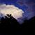 Sandra McAnany's profile image