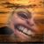 Rayla Iris's profile image