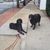 Lori Steck's profile image