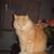 Debra Madsen's profile image
