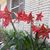 Mary Thweatt's profile image