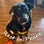 Jess Genske's profile image