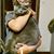 Michaelandpam Luokka's profile image