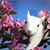Nicola Quinn's profile image