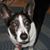 Charlene Miller's profile image