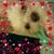 Samantha Flockhart's profile image