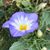 Natalie Reed Browder's profile image