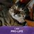 Susan Lacy's profile image