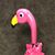 Susan Donnelly Dettloff's profile image