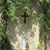 Nancy Tubre's profile image