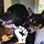 Michele Rhew's profile image