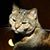 Matthew Laughlin's profile image