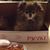 Cheryl Bruzewski's profile image
