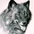 Chris Cafmeyer's profile image