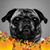 Curtis Fogler's profile image