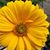 Jan Seator Gill's profile image
