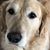 Rita Rutledge's profile image