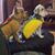 Rhonda Nance Janzen's profile image