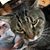 Cathy Gassert's profile image