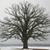 Linda Manley's profile image