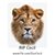 Judy Suess's profile image