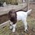 Ann Lasher's profile image