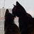 Lisa Mmtc Carstens's profile image