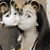 Wendy Cardenas's profile image