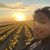 Fadha Al's profile image