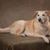 Jane Biehl's profile image