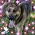 Dawn Bradley's profile image