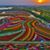 Sugar Roxanne DeMaris's profile image