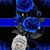 Rhonda Lewis's profile image