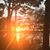 Ruth Hepper's profile image