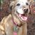 Sue Habbe's profile image