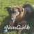 Crystal Dawn Carter's profile image