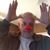 PamandJimmy Reed's profile image
