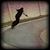 Chris Kaetzel's profile image