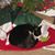 Jeannie Ortuso's profile image