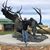 Shamron Ritchie's profile image