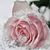 Kay Talburt's profile image