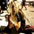 Lisandra Lovera's profile image