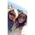 Judy L. DeLuca's profile image
