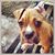 Sheri Anderson-neale's profile image