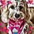 Debbie Barnes's profile image