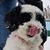 Liz Rowley's profile image