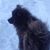 Marie Sessa-Mazur's profile image